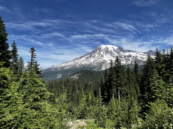 Mt. Rainier National Park photo 11