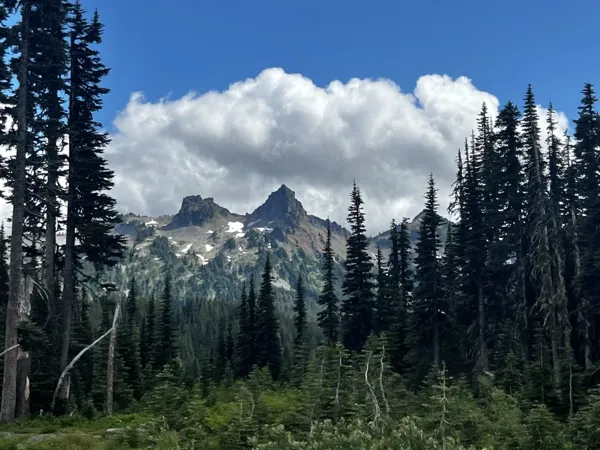Mt. Rainier National Park photo 15