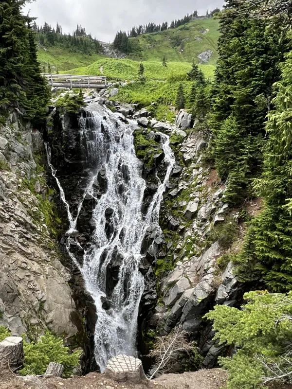 Mt. Rainier National Park photo 18