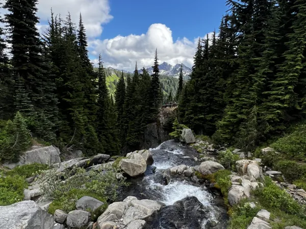 Mt. Rainier National Park photo 19