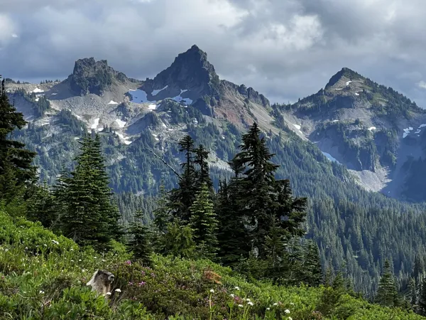 Mt. Rainier National Park photo 20