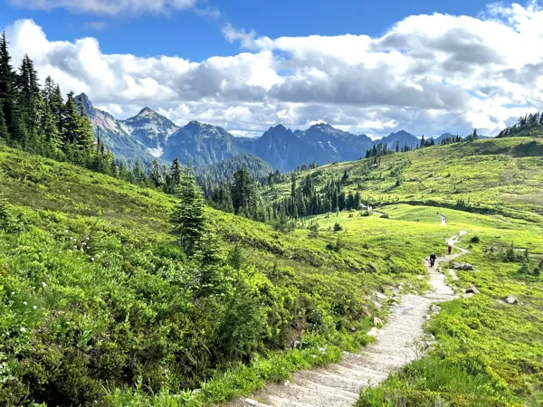 Mt. Rainier National Park photo 21