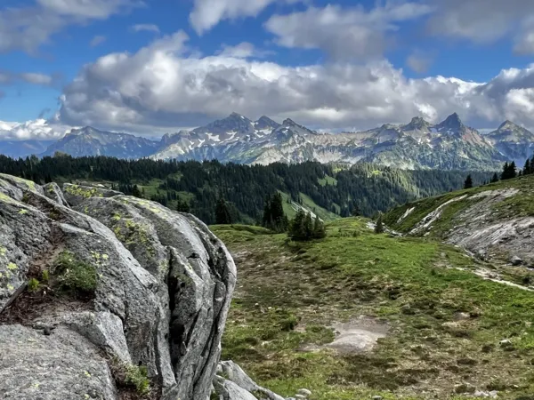 Mt. Rainier National Park photo 22