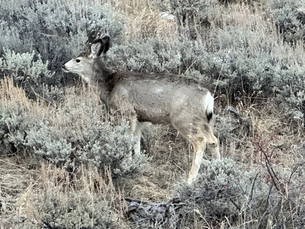 Rocky Mountain National Park photo 15