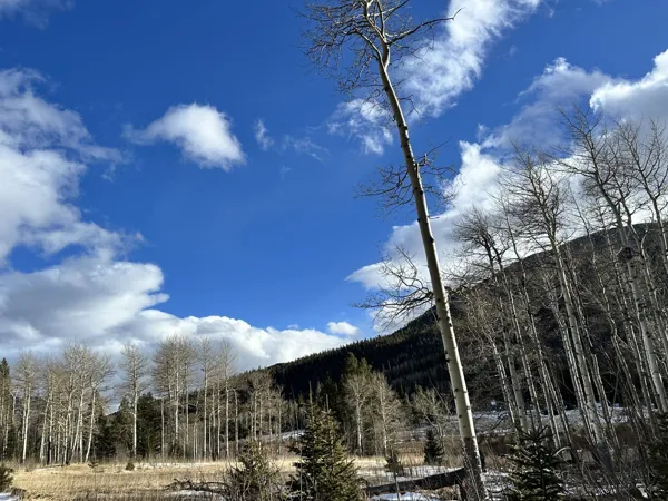 Rocky Mountain National Park photo 20