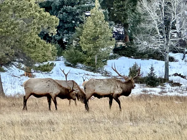 Rocky Mountain National Park photo 22