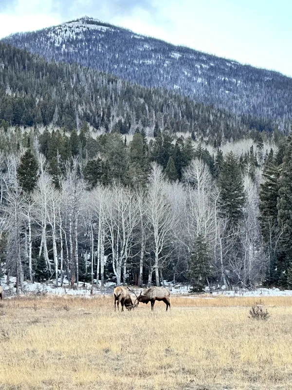 Rocky Mountain National Park photo 24