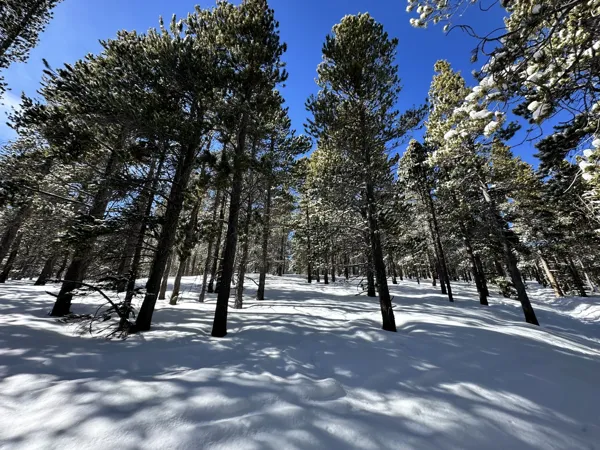 Rocky Mountain National Park photo 30