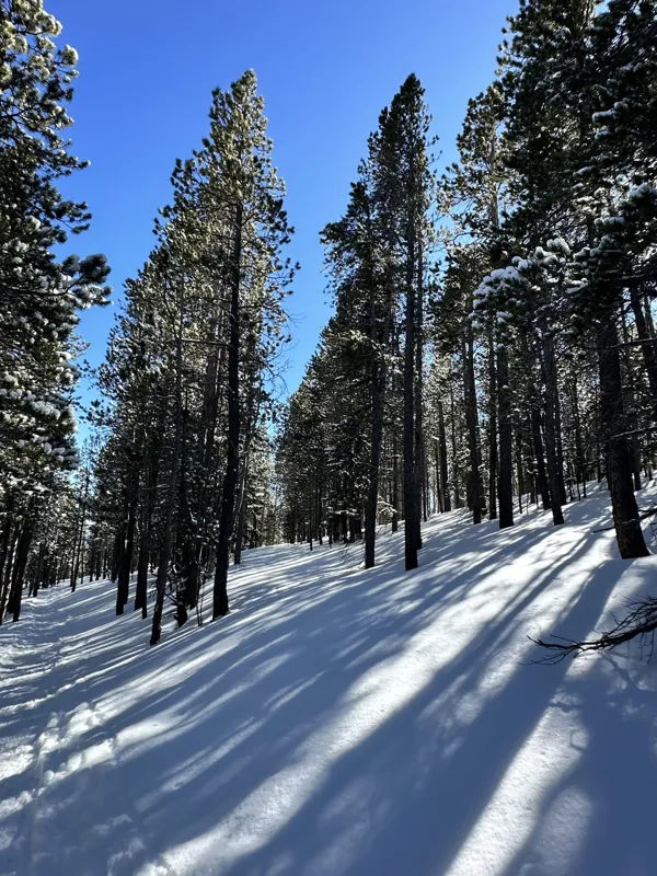 Rocky Mountain National Park photo 31