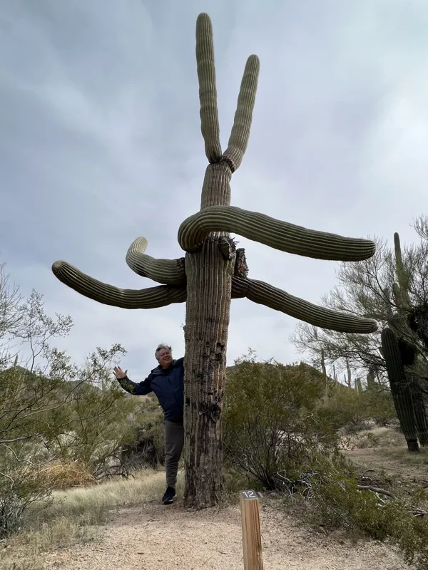 Saguaro National Park photo 7