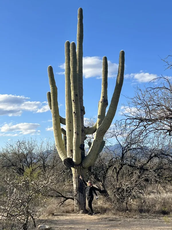 Saguaro National Park photo 21