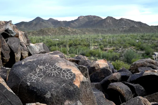 Saguaro National Park photo 39