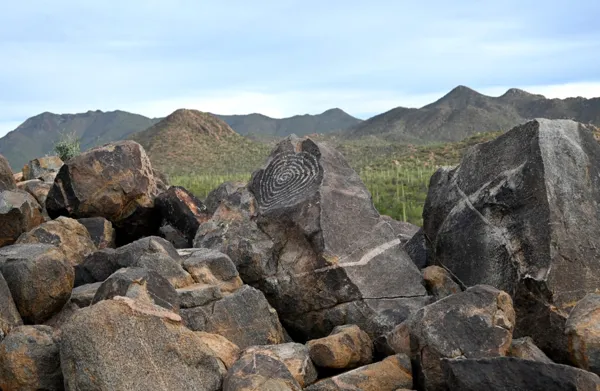Saguaro National Park photo 40
