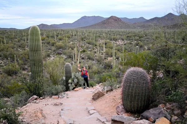 Saguaro National Park photo 46