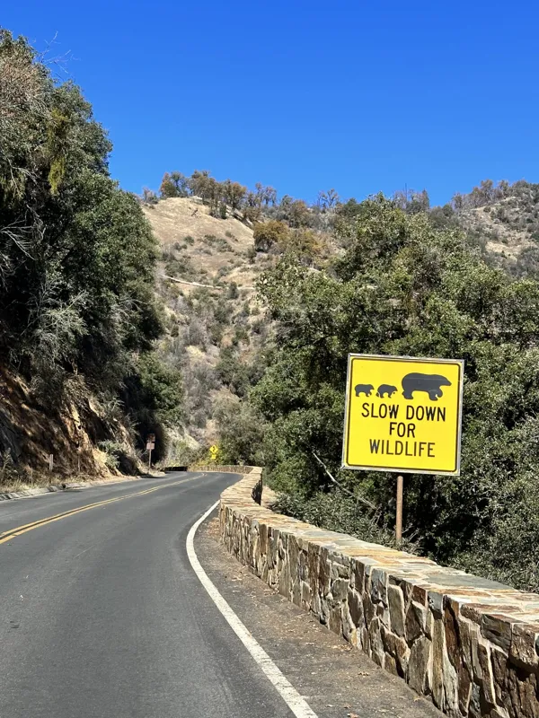 Sequoia National Park photo 3