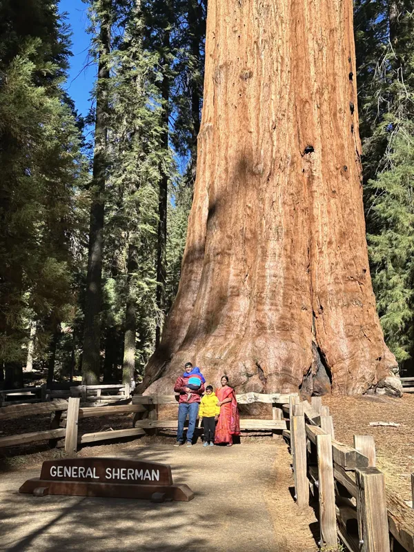 Sequoia National Park photo 6