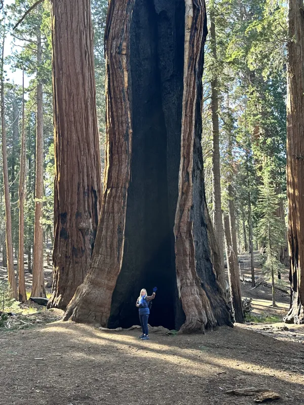 Sequoia National Park photo 7