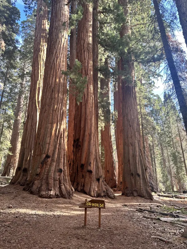 Sequoia National Park photo 11