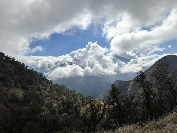 Sequoia National Park photo 14