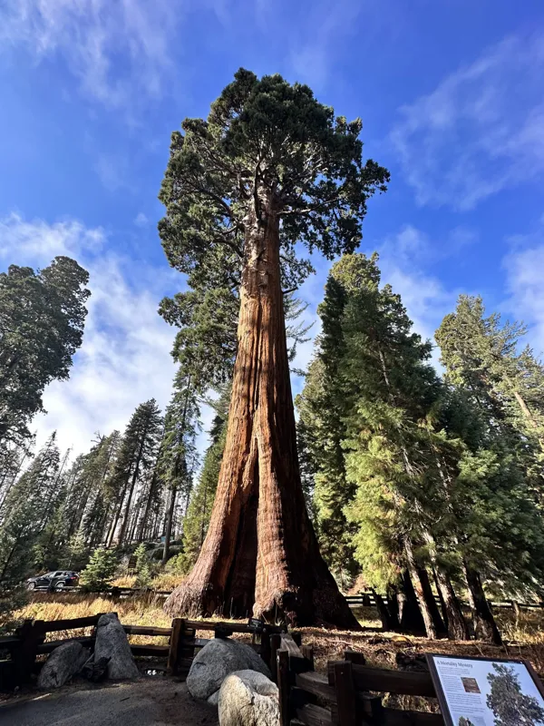 Sequoia National Park photo 15