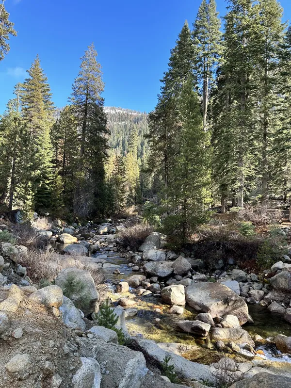 Sequoia National Park photo 17