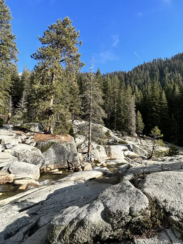 Sequoia National Park photo 18
