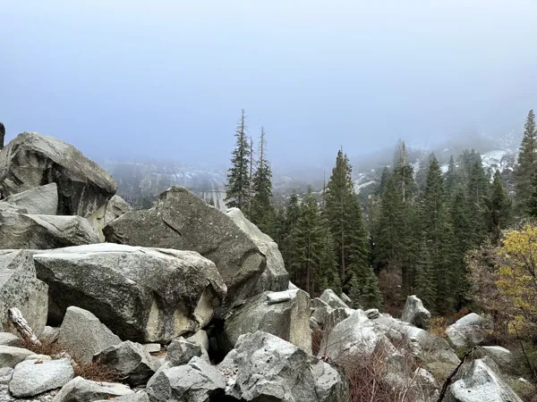 Sequoia National Park photo 20