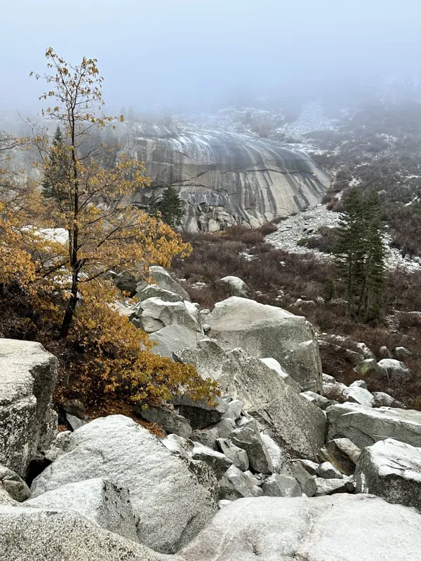 Sequoia National Park photo 21