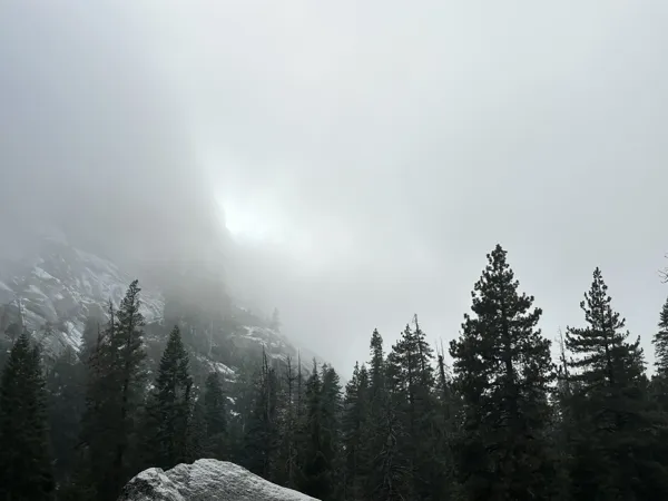Sequoia National Park photo 22