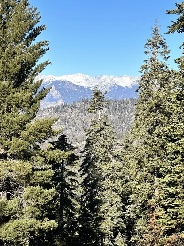 Sequoia National Park photo 26