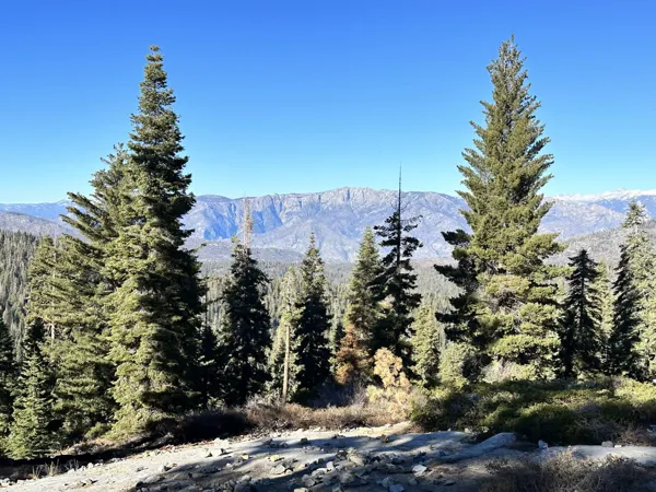 Sequoia National Park photo 27