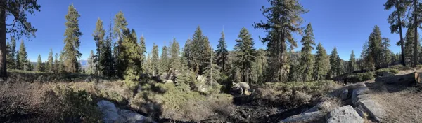 Sequoia National Park photo 28