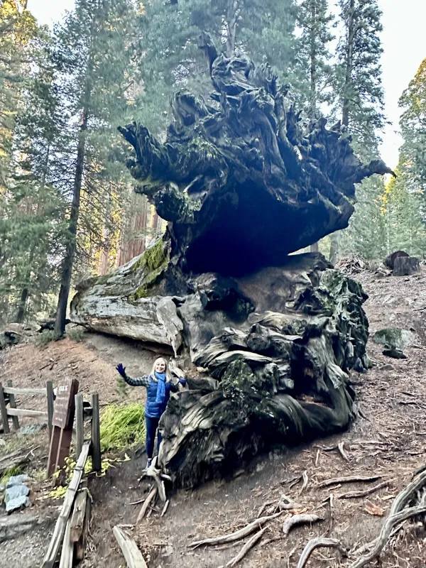 Sequoia National Park photo 30
