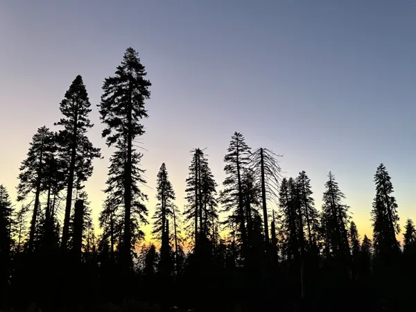 Sequoia National Park photo 34