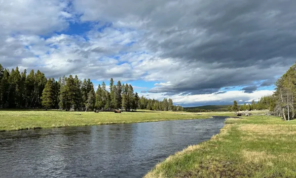 Yellowstone National Park photo 20