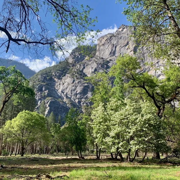 Yosemite National Park photo 1