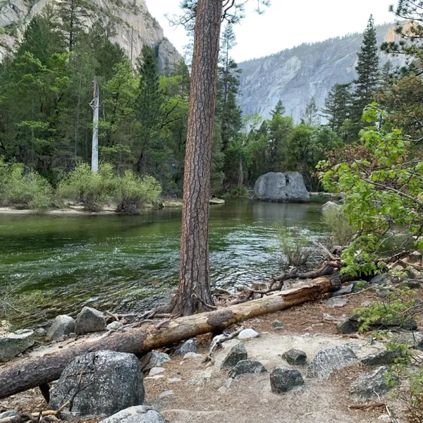 Yosemite National Park photo 2