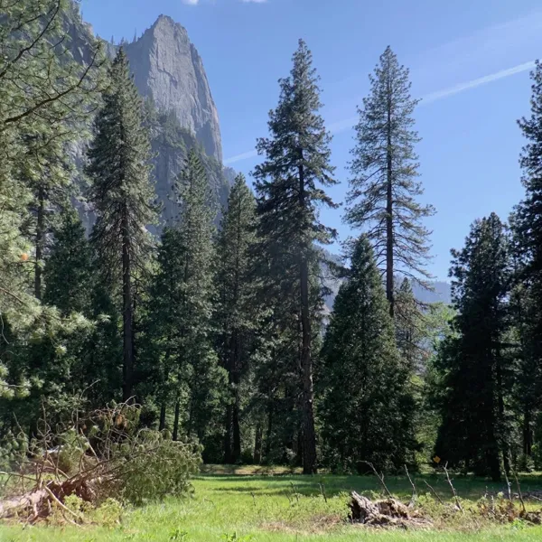 Yosemite National Park photo 3