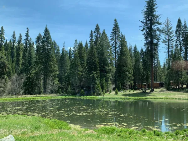 Yosemite National Park photo 13