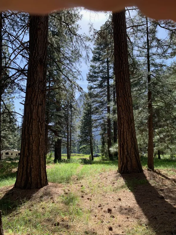 Yosemite National Park photo 32