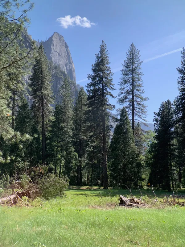 Yosemite National Park photo 39