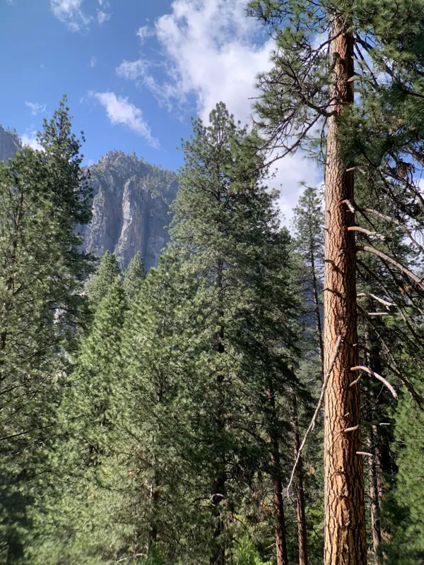 Yosemite National Park photo 42