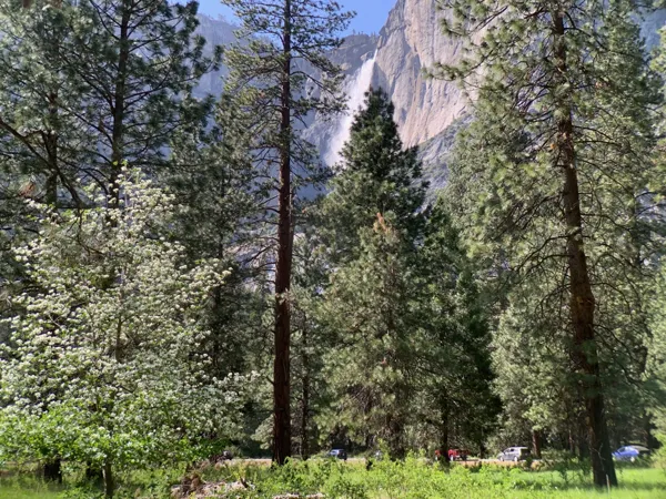 Yosemite National Park photo 45