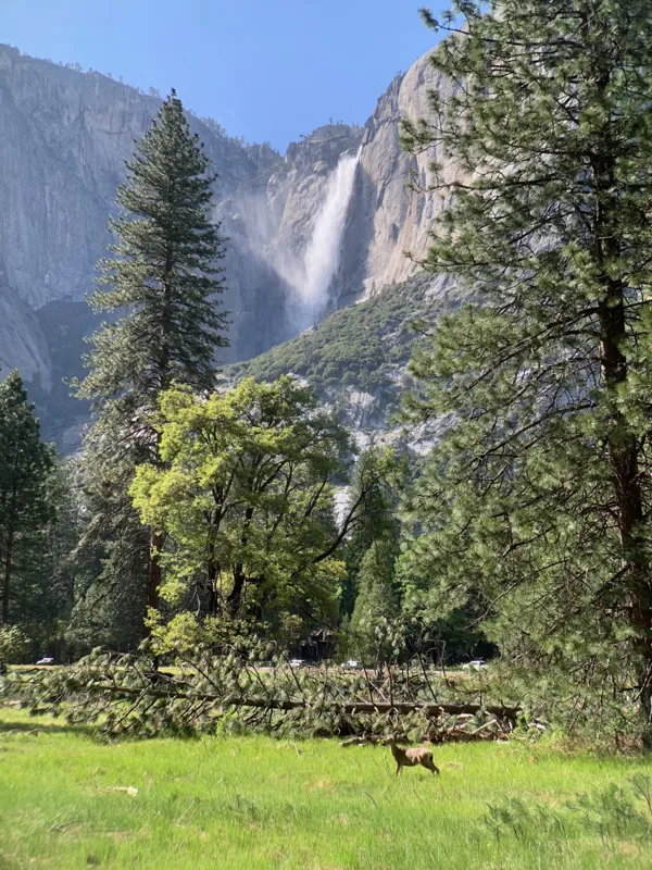 Yosemite National Park photo 47