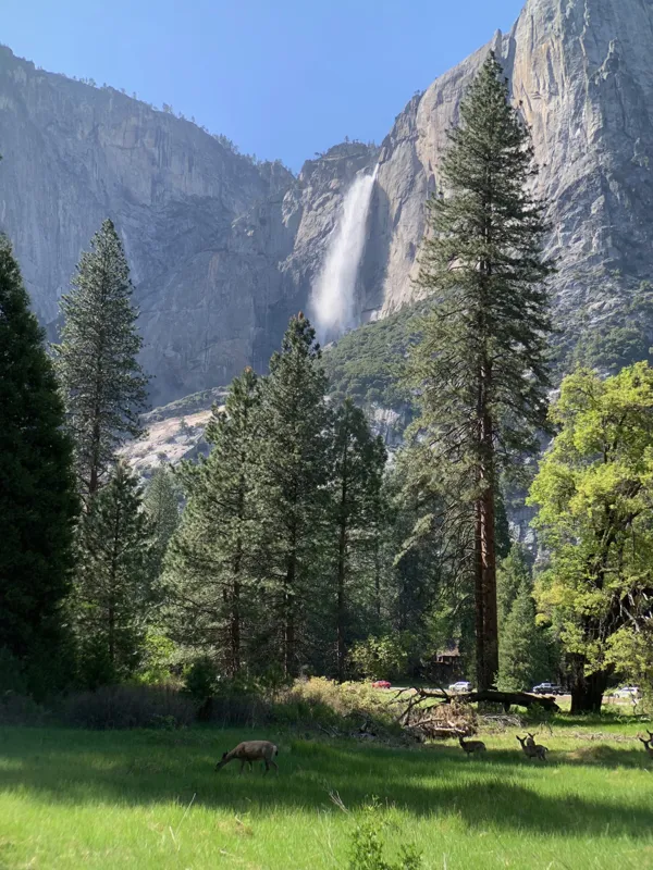 Yosemite National Park photo 48