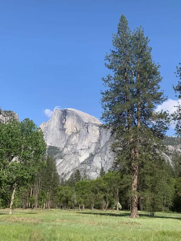 Yosemite National Park photo 53