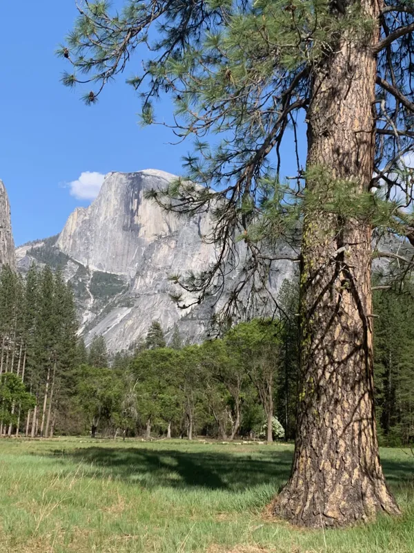 Yosemite National Park photo 55