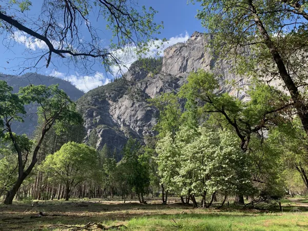 Yosemite National Park photo 63