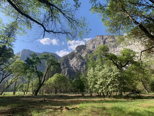 Yosemite National Park photo 64