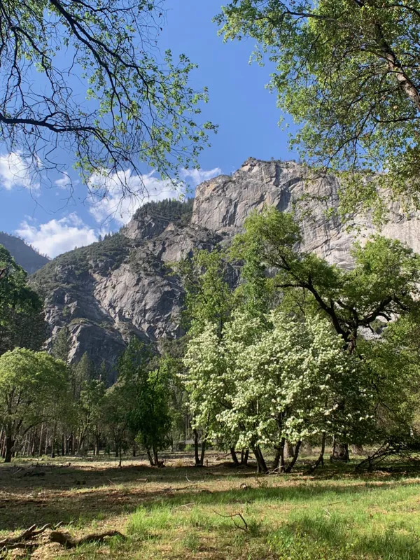 Yosemite National Park photo 65